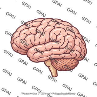 Brain