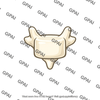 Vertebra