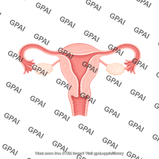 Female reproductive system half cross section