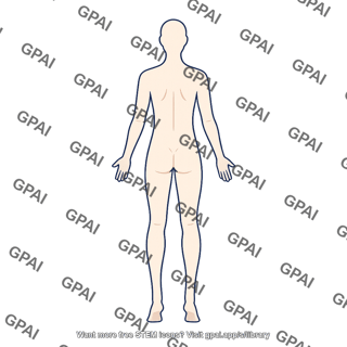 Gender neutral adult posterior