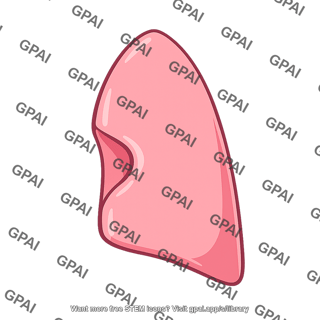 Cardiac notch of left lung