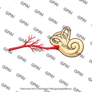 Cochlear branch