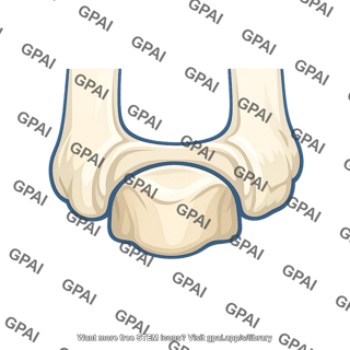 Ankle mortise
