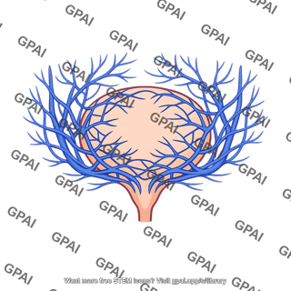 Vesical venous plexus
