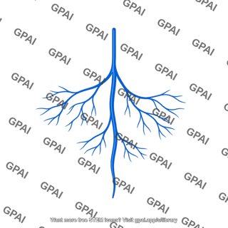 Central retinal vein