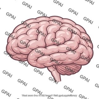 Human brain