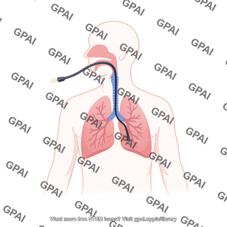 Bronchoscopy human