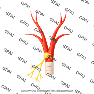 Carotid body nerve