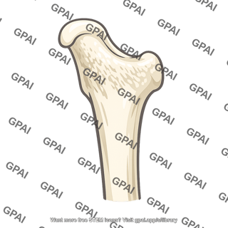 Olecranon of ulna