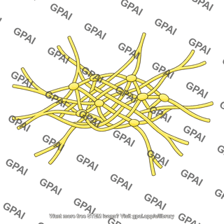 Somatic plexus