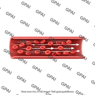 Blood flow laminar