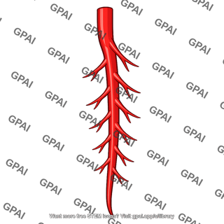 Left anterior descending artery