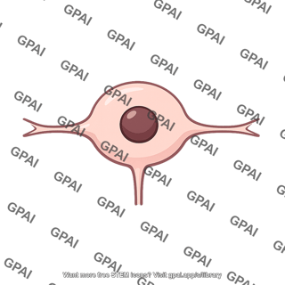 Sensory neuron cell body