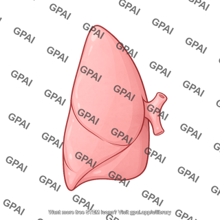 Lung lobe left