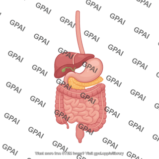 Digestive system