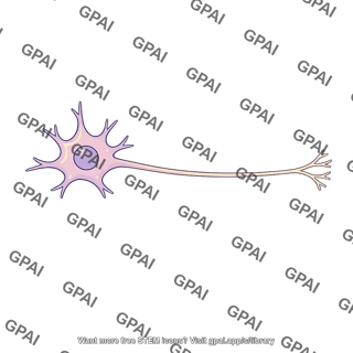 Visceral motor neuron