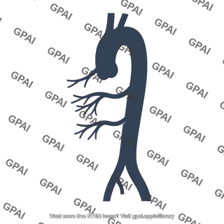 Lateral aortic angiography