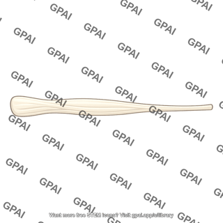 Long extensor tendon