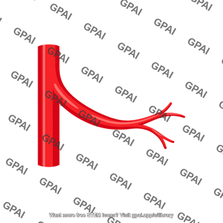 Arterial branch
