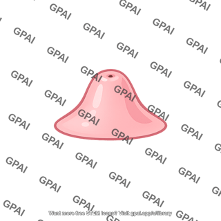 Minor duodenal papilla
