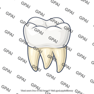 Upper molar tooth