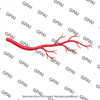Branching artery