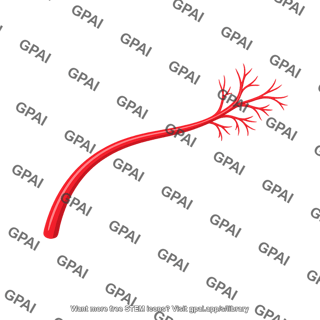 Ethmoidal artery