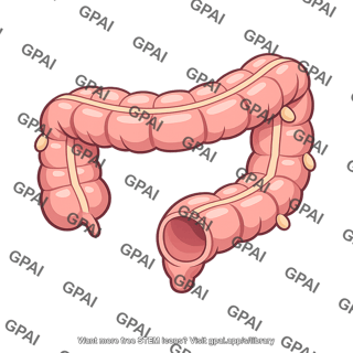 Colon