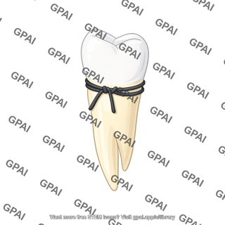 Tooth premolar with ligature