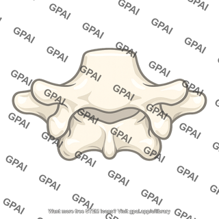 L5 vertebra