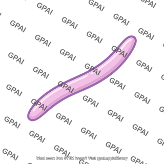 Bacillus bacterium