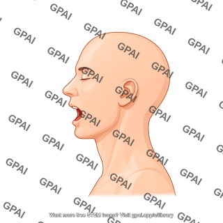 Adult male head lateral open mouth