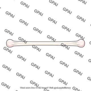Long bone