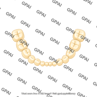 Dentition primary lower teeth only