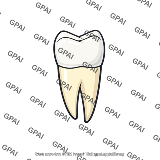 Premolar