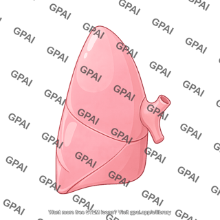Lung lobe right
