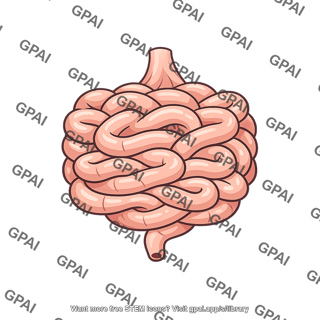 Small intestine