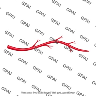 Branched artery