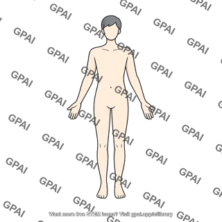 Adult 2 gender neutral anterior