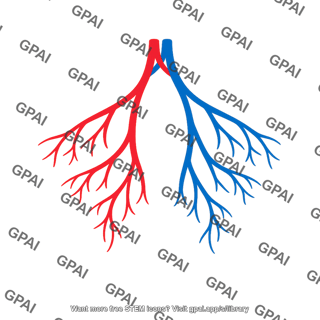 Branching blood vessels