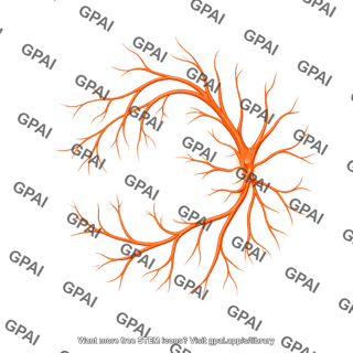 Eye retina naion arteries only 79