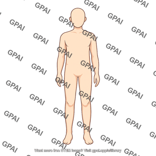 Adult anterior silhouette