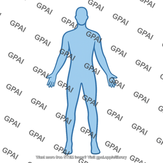 Human body outline adult male