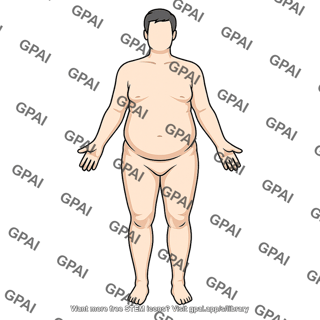 Adult 3 male stage i obesity anterior 947