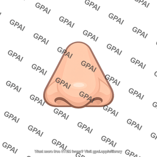 Nasal triangle