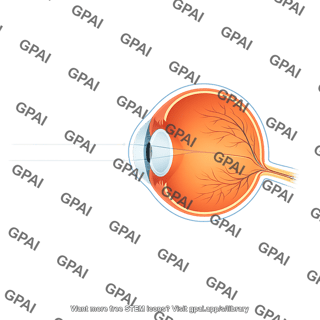 Eye sagittal looking at far object