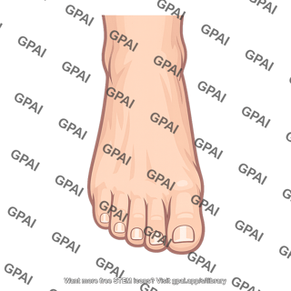 Foot