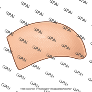Skin patch