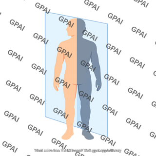 Coronal plane