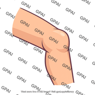 External knee region